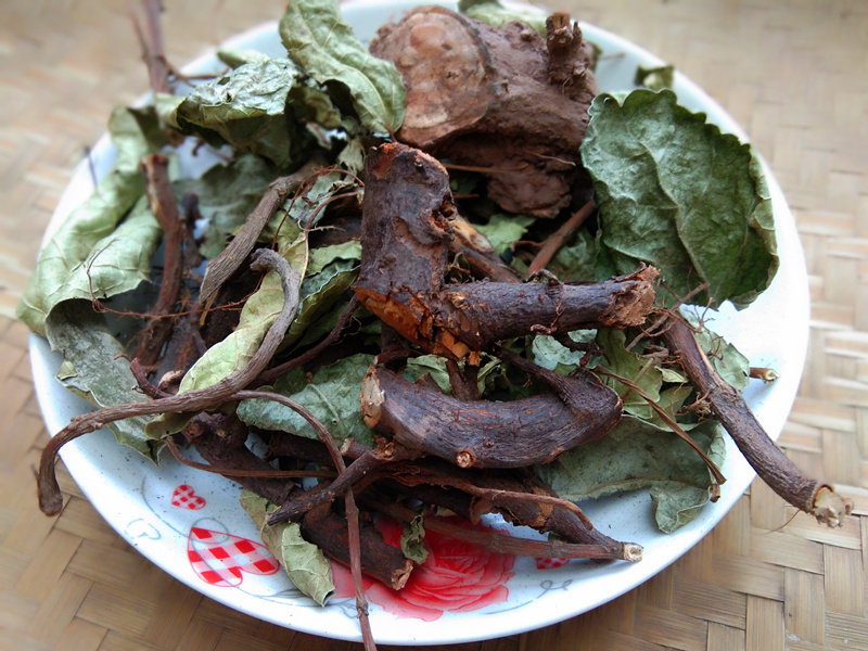 贵州山货中草药材野地瓜藤 现晒地果地枇杷野地瓜根干货500g包邮