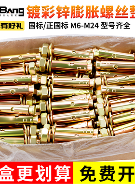 整盒国标镀锌铁膨胀螺丝彩锌加长拉爆螺栓大全6M8M10M12M14M16M20