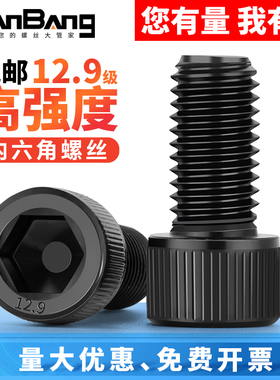 12.9级高强度内六角螺丝加长螺钉全牙杯头螺栓2M3M4M5M6M8M10M12