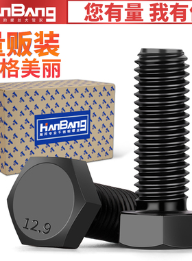 12.9级外六角螺丝高强度全螺纹螺栓M5M6M8M10M12M14M16M18M20M24M