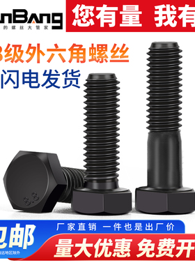 8.8级外六角螺丝大全黑色高强度全牙加长螺栓M5M6M8M10M12M14M16M