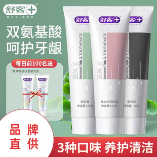 家用正品 舒客成人牙膏牙龈护理氨基酸口气清新牙膏批发家庭实惠装
