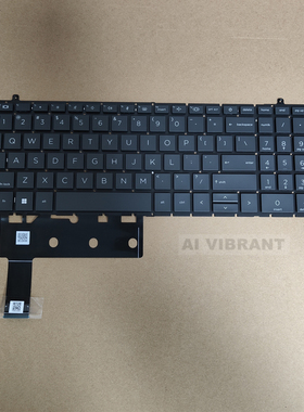 适用于 惠普HP ProBook 860 865 450 G9 455 G9 G10键盘