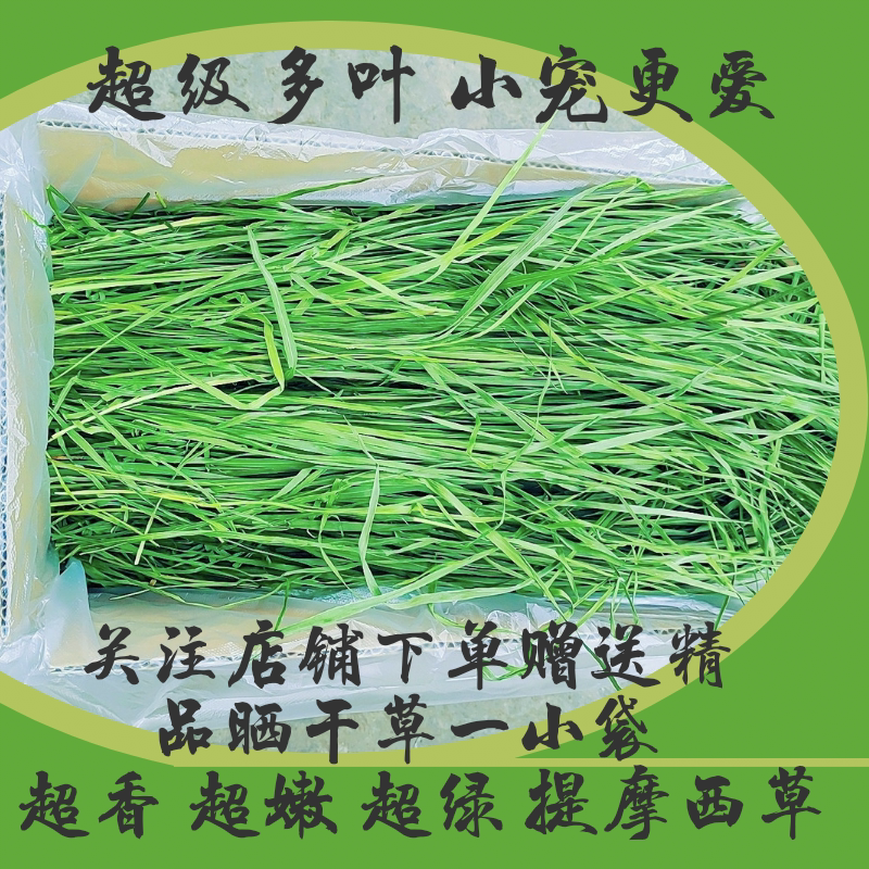 22年提摩西草兔子干草