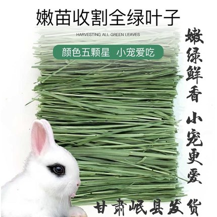 26年头茬烘干北提摩西切段干草500g兔子干草荷兰猪豚鼠食用牧草