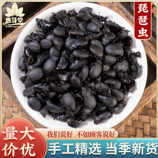 中药材 琵琶甲 臭屁虫 喙尾琵琶 山甲片臭壳子虫 高脚虫100克