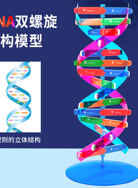 科趣diyDNA模型科学实验