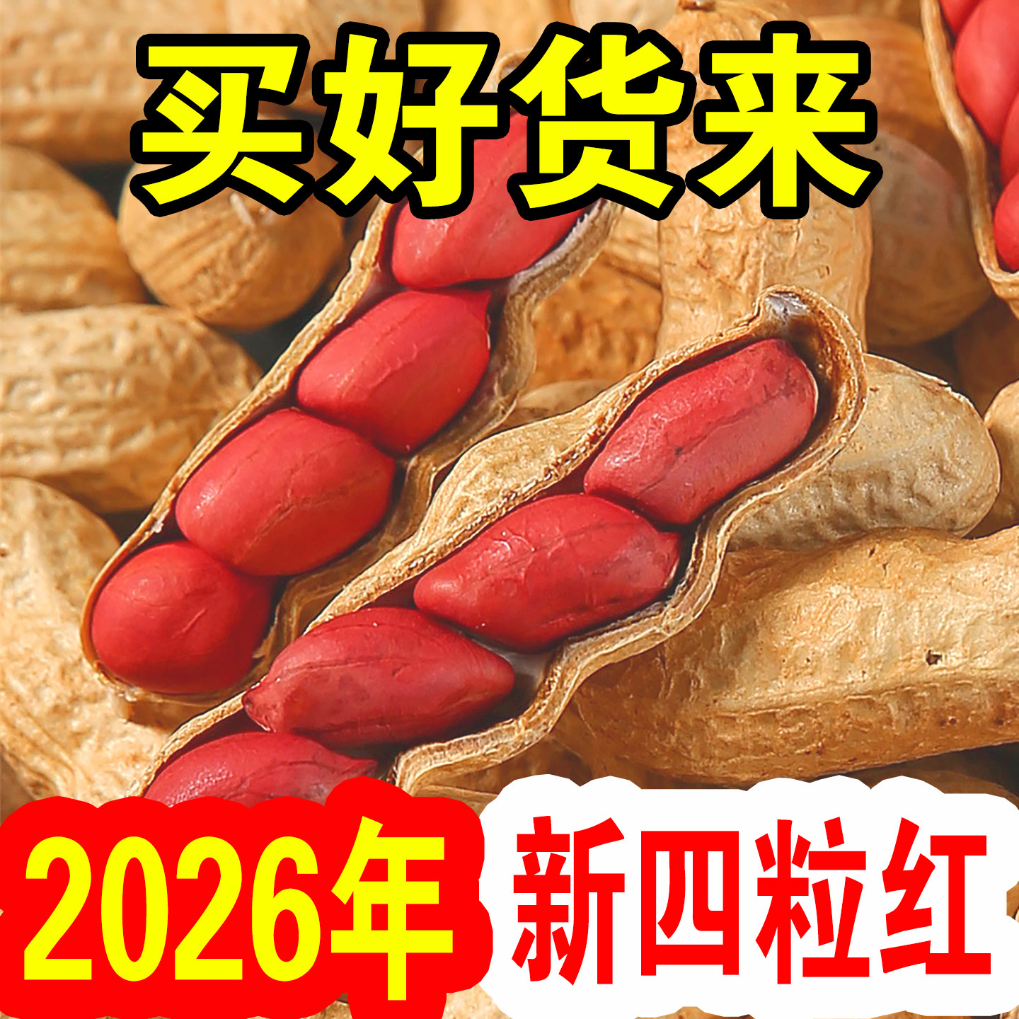2026年新鲜红皮花生新货生花生炒货熟晒干新鲜带壳生的红衣花生米