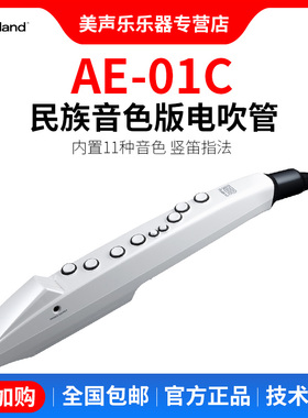 Roland罗兰电吹管乐器AE01 ae0501c初学入门电子萨克斯葫芦丝笛子