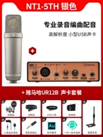 NT1-5th Silver + Ur12b набор