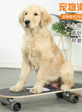 狗狗滑板车法斗英斗柯基泰迪雪瑞纳专用滑板加宽网红同款宠物滑板