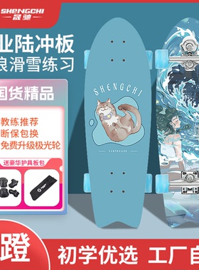 陆地冲浪板初学者儿童免蹬地青年成人专业滑板开箱即玩耐磨升级
