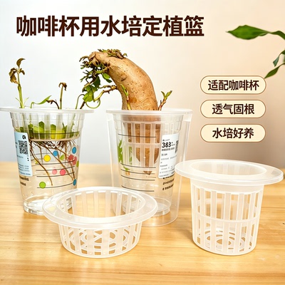 适用瑞幸咖啡杯子水培植物定植篮水养蔬菜红薯花卉奶茶饮料固定篮