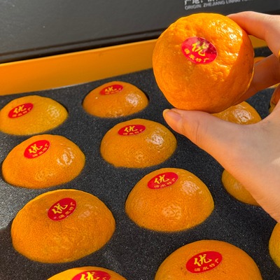涌泉蜜桔精品礼盒送礼佳品