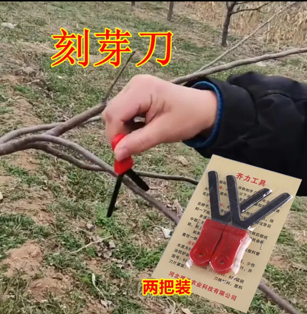 园林工具永德助单刃刻芽双刃环切