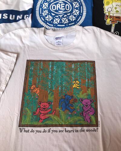 GratefulDead乐队油画小熊