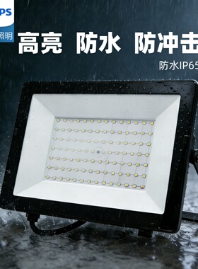 飞利浦LED投光灯射灯泛光灯户外防水灯IP65高亮草坪灯明欣BVP150