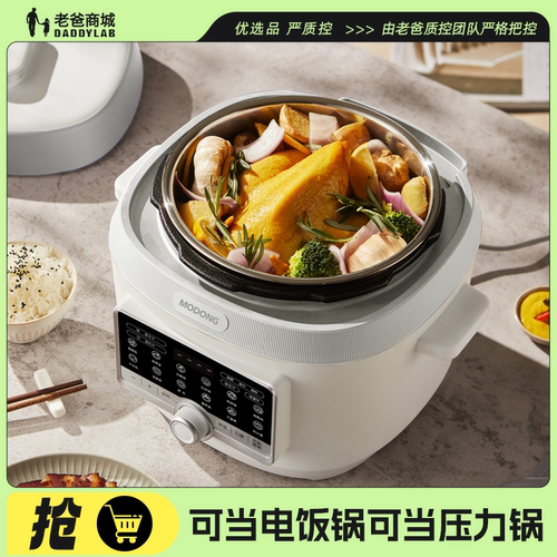 电压力锅大容量电高压锅