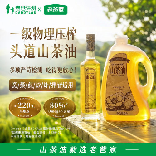 定制山茶油物理压榨一级油茶籽油