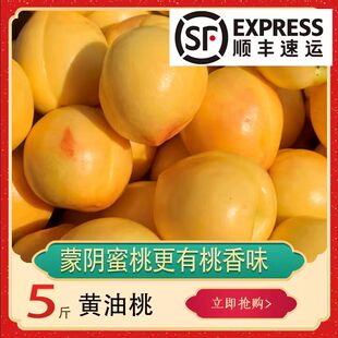 山东黄金油桃新鲜水果蒙阴蜜桃整箱应季孕妇脆甜爆汁黄心肉黄油桃
