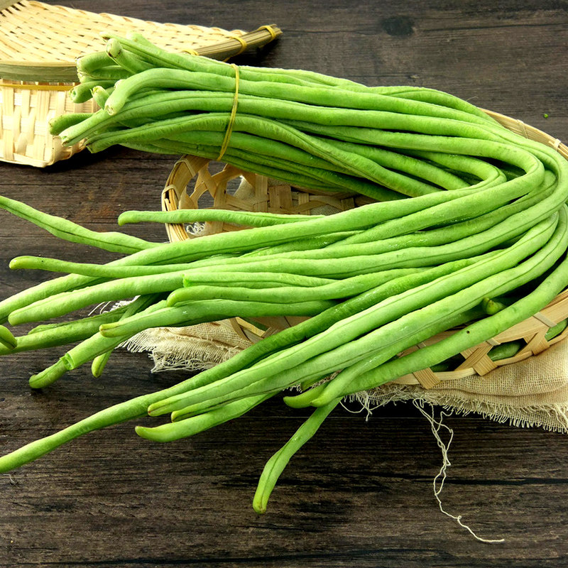 豆角苗红金钩黄金钩绿地豆苗秧压趴架油豆地豆无架豆种子孑蔬菜苗