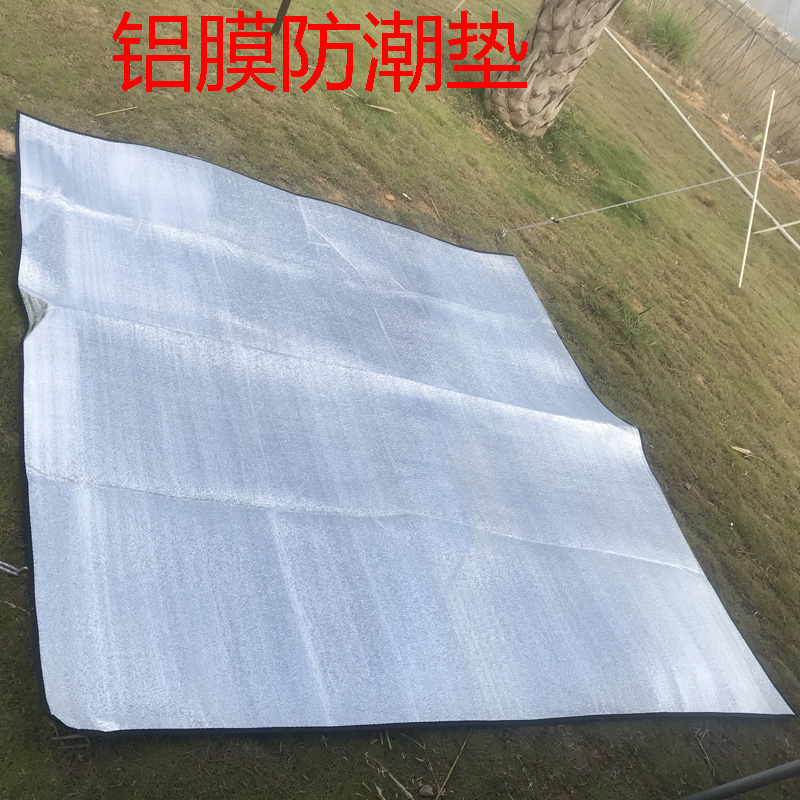 天猴户外防潮垫加厚地垫3人-4人学生家用泡沫防水折叠单双人宿舍