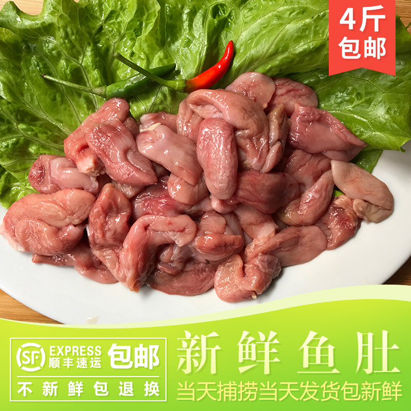 新鲜鱼肚冰冻新鲜冰鲜鱼肚象山特产海鲜水产500克装 顺丰快递