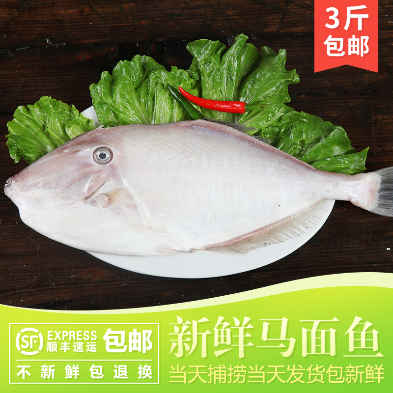 剥皮鱼深海橡皮鱼新鲜马面鱼