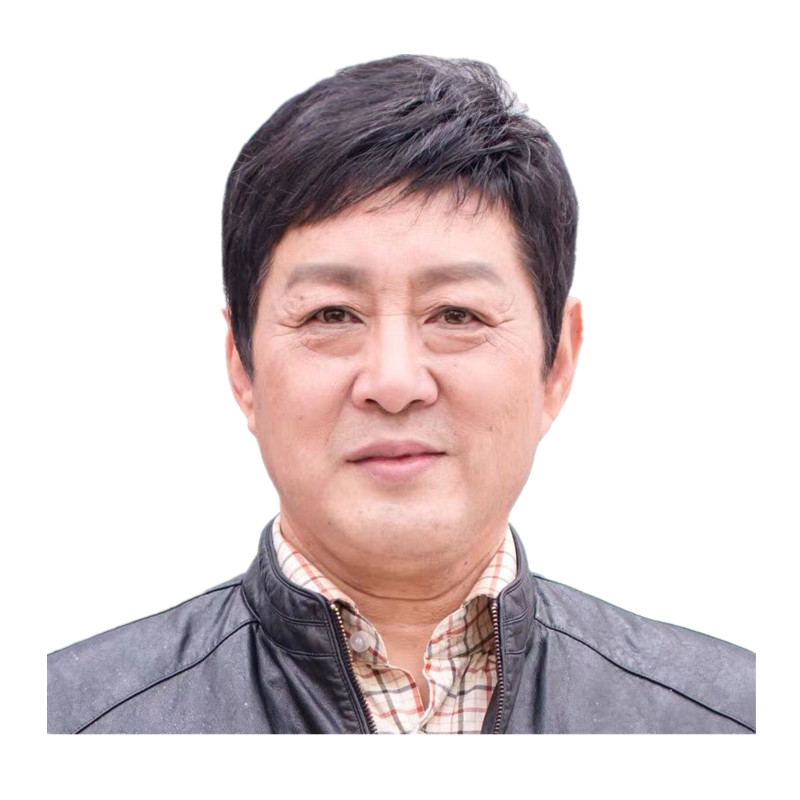 男士帅气逼真爸爸中老年自然假发