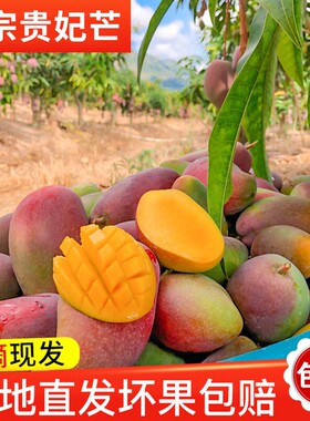 特价【现摘现发】9斤生态贵妃芒果香甜多汁绿色水果直发扶农产品