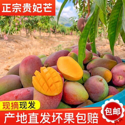 特价【现摘现发】9斤生态贵妃芒果香甜多汁绿色水果直发扶农产品