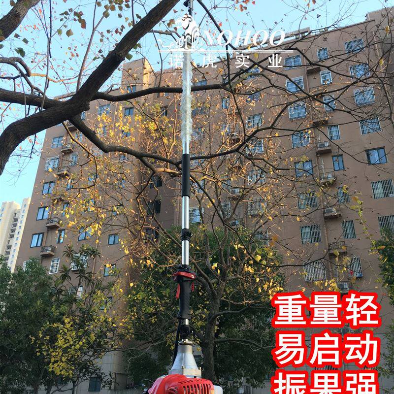 核桃板栗震动打果机 山萸肉打枣机 沙棘橄榄坚果收获摘果机采摘机