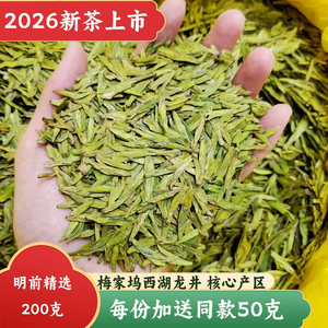 梅家坞龙井春茶明前特级250g