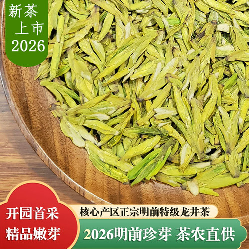 2026明前特级精品龙井茶头采250g