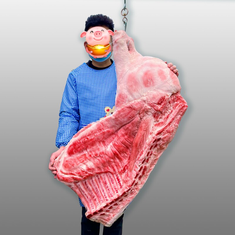 仿真猪肉模型场景展示假肉羊肉样品生猪牛羊道具祭祀猪羊分解模型
