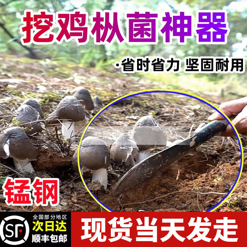 挖鸡枞神器不锈钢木柄捡菌子鸡枞凿铲方便省力采菇专用工具松茸刀