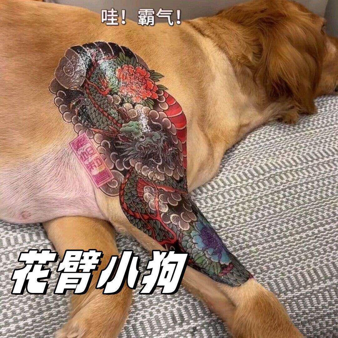 花臂小狗刺青全臂纹身贴纸大花臂彩色中国龙整蛊恶搞宠物贴纸