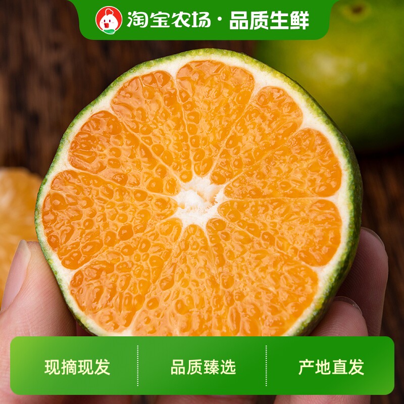 江西正宗寻乌蜜桔4.5斤新鲜现摘产地直发青皮时令橘子鲜果农场