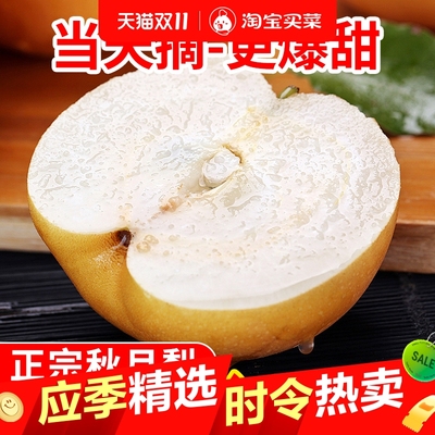正宗莱阳秋月梨新鲜梨子脆甜当季现摘冰糖梨雪梨蜜梨水果批发整箱