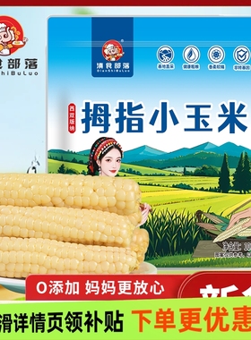 滇食部落四小时采摘精品级西双版纳拇指玉米真空即食独立包装