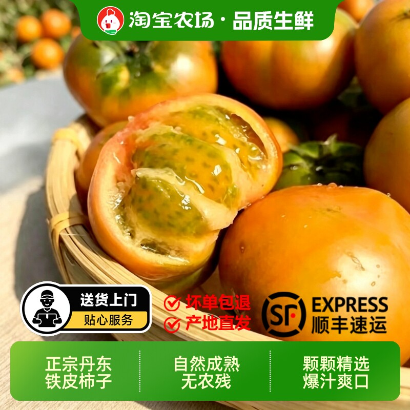 盘锦碱地柿子丹东草莓铁皮西红柿绿定鹰爪新鲜水果孕妇水果正宗