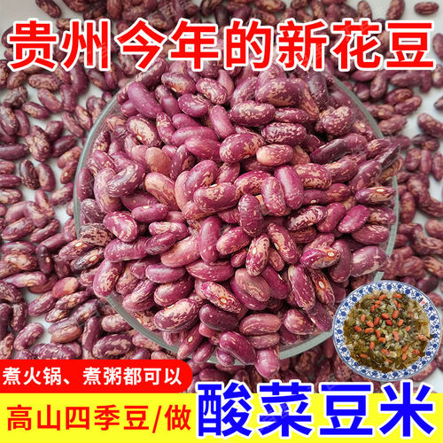 新四季豆贵州花豆农家自种红豆子豆米火锅酸菜花芸豆有机特色煮粥
