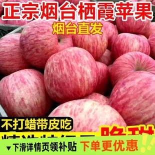 山东烟台红富士苹果脆新鲜水果冰糖心栖霞条纹苹果一整箱批发