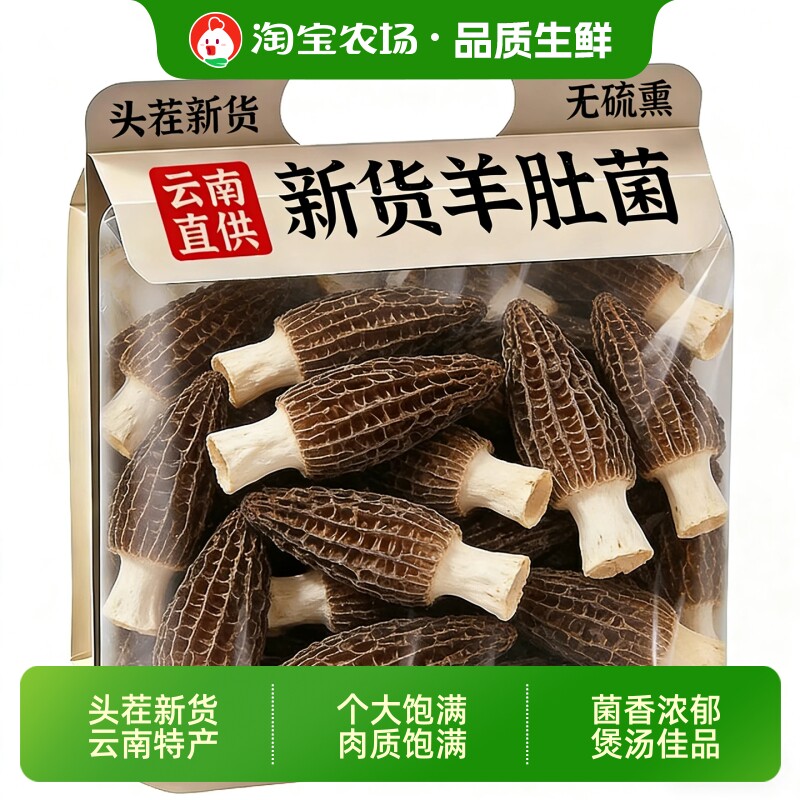 农家特产羊肚菌干货新鲜羊肚菌菇煲汤食材菌子炖汤美味营养源头