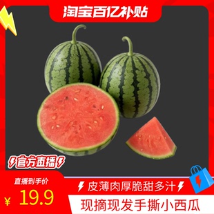 小糖丸西瓜手撕冰糖冰淇淋薄皮甜蜜多汁新鲜老农精选直发美味现摘