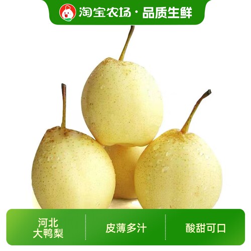 河北大鸭梨水晶薄新鲜梨子非雪梨皇冠梨酸甜整箱包邮农场单果脆甜