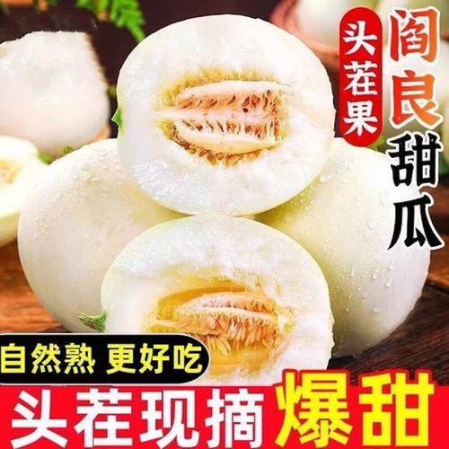 陕西头茬阎良甜瓜3斤小籽品种儿时味道软糯香甜蜜瓜白瓜新鲜水果