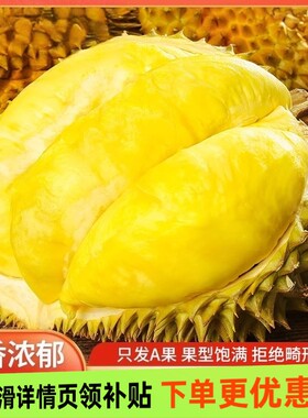 当季泰国进口正宗金枕榴莲水果鲜果整个顺丰包邮新鲜托曼尼冷冻