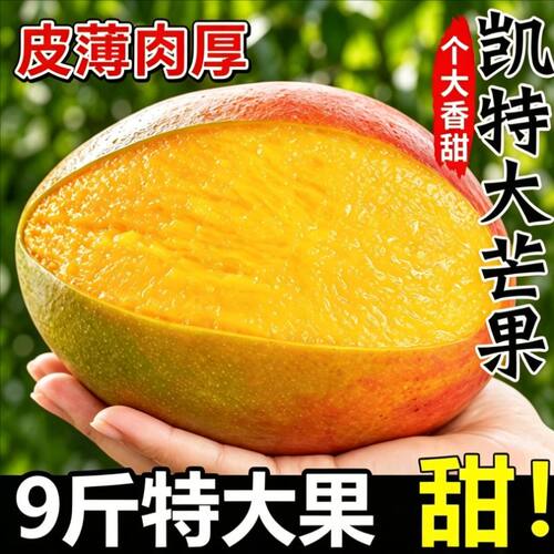 正宗四川攀枝花凯特芒果大芒果孕妇水果新鲜整箱应当季超大甜优选