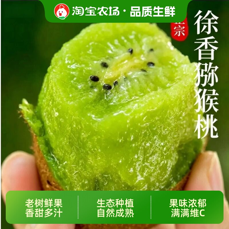 西峡正宗徐香猕猴桃奇异果大果新鲜包邮孕妇水果当季整箱自然搭档